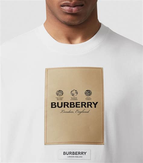 burberry prices|Burberry t shirt original price.